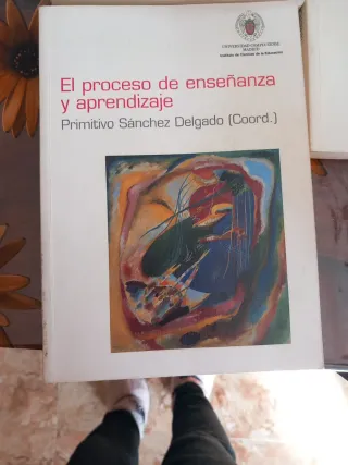 Formación de profesores de educación secundaria