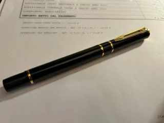 Penna Stilografica Waterman seminuova