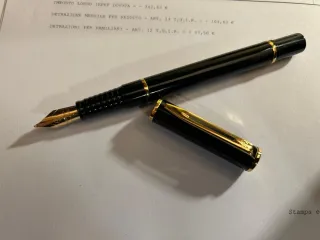 Penna Stilografica Waterman seminuova