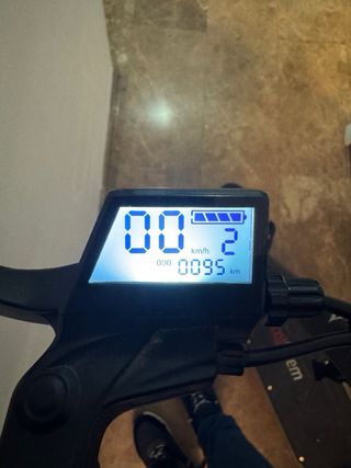 Patinete Ecoxtrem Bison 600W