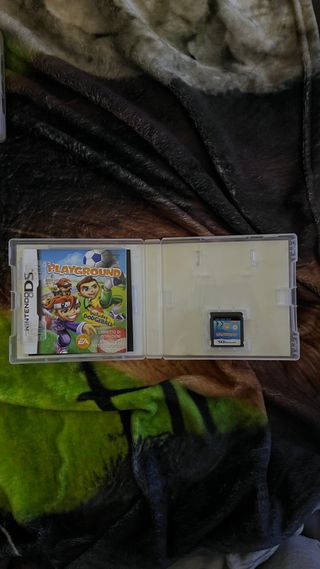 Gioco Nintendo DS Playground