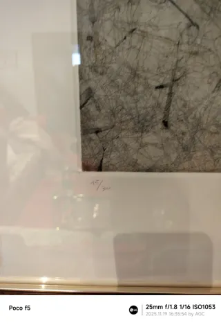 litografía Enrique Brinkmann Edición Limitada