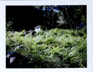 Cámara Polaroid Land Camera 440