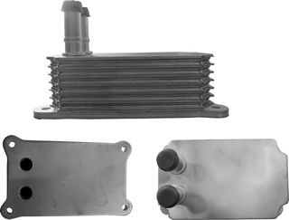 Radiador de aceite FORD Transit 00-06