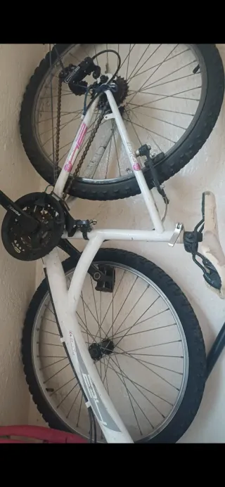 Bicicleta blanca
