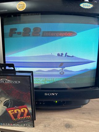 F22 Interceptor megadrive