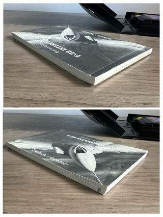 F22 Interceptor megadrive