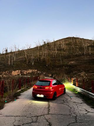 SEAT Ibiza Cupra 6l 2005