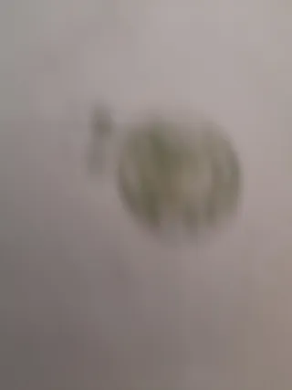 Sopera Gil Vargas Segovia Porcelana