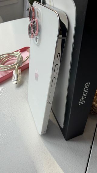 iPhone 13 Pro Max 256 GB Plata – Impecable, caja