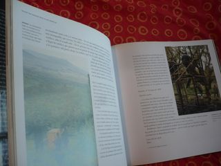 NADIE HA AMADO MAS A LOS GORILAS VIDA DIAN FOSSEY