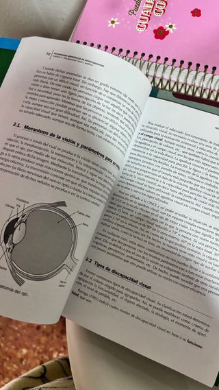 Necesidades específicas de apoyo educativo