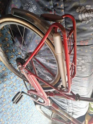 Bicicletas BH Clásicas