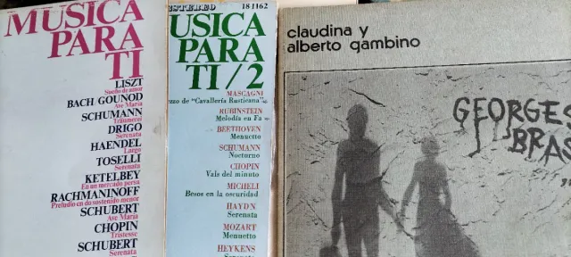 Lote di Vinili con Musica Varia