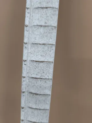 Marco de madera blanco