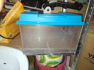 Pecera de plástico con tapa azul