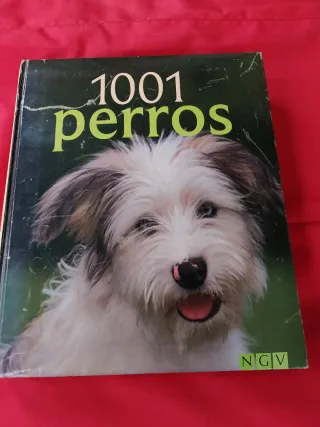 1001 Perros