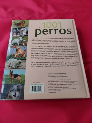 1001 Perros