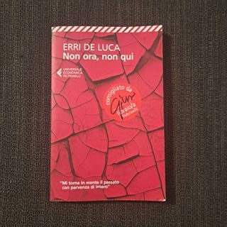 Non ora, non qui (Italian Edition)