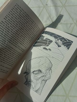 Vaixell de neu – Ferran Cremades