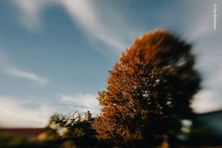 Objetivo Sony FE LensBaby Spark + Lentes 35 + 50mm