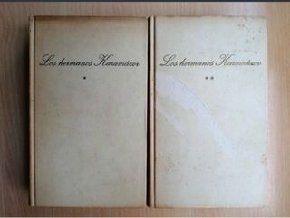Libros los hermanos karamazov
