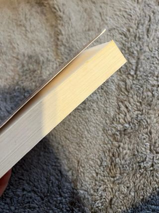 libro la dama del unicornio