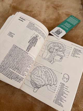 El libro de la mujer (Spanish Edition)