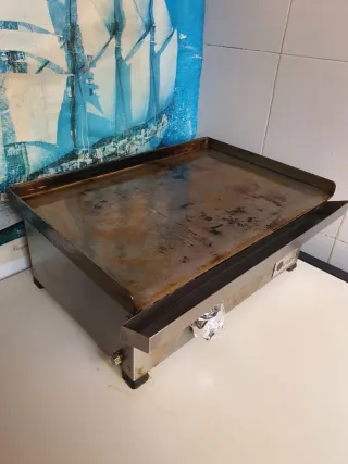 Plancha de cocina profesional