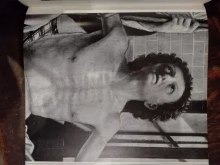 Michele Pacher - libro di Nicolò Rasmo