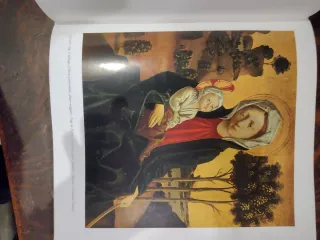 Michele Pacher - libro di Nicolò Rasmo