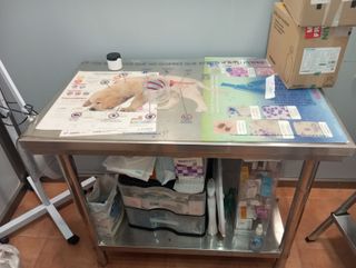 Mesa de exploración veterinaria
