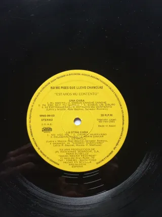 Vinilo NO ME PISES QUE LLEVO CHANCLAS - Estamos mu