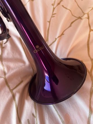 Trompeta morada CECILIO