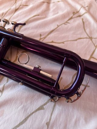 Trompeta morada CECILIO