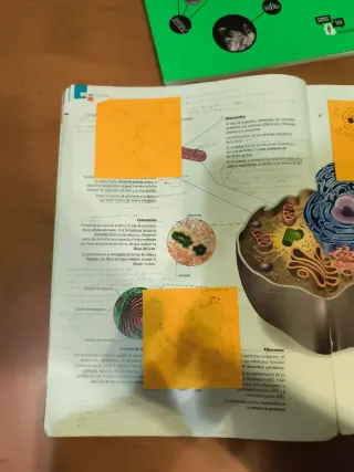 BIOLOGIA Y GEOLOGIA 1º BACHILLERATO