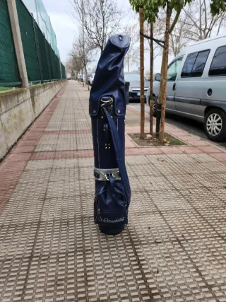 Juego Palos Golf Wilson Delta + Funda