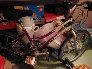 Bici Coluer Fast 003 26