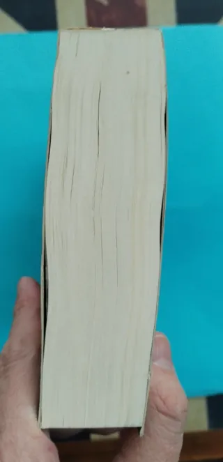 El nombre del viento, de Patrick Rothfuss