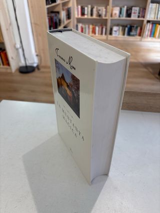 La muntanya màgica