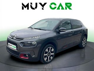 Citroen C4 Cactus BlueHDi 100 S&S Live 73 kW (99 CV)