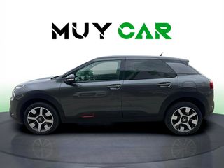 Citroen C4 Cactus BlueHDi 100 S&S Live 73 kW (99 CV)