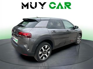 Citroen C4 Cactus BlueHDi 100 S&S Live 73 kW (99 CV)
