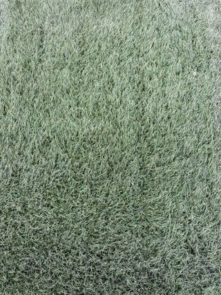 Césped artificial para jardín