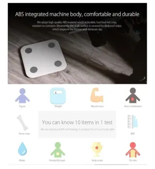 Báscula Xiaomi Body Composition Scale 2