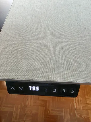 Escritorio eléctrico regulable