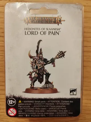 Lord of Pain Hedonites of Slaanesh Warhammer