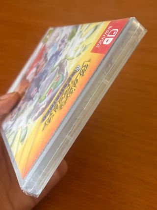 🇪🇸(PRECINT) POCKY & ROCKY RESHRINED