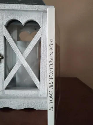 Toro bravo, hierros y encastes, el