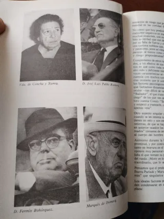 Toro bravo, hierros y encastes, el